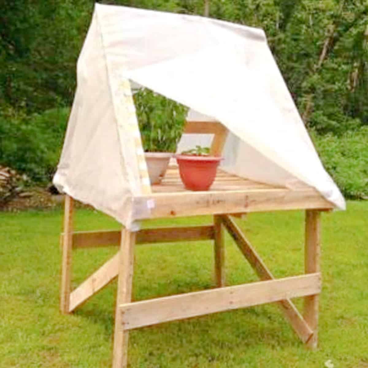 Make A Mini Pallet Greenhouse for $5 !