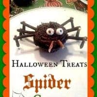 Spider Cupcakes