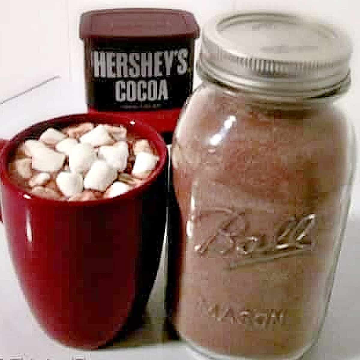 Hershey's Special Dark Homemade Hot Cocoa Mix