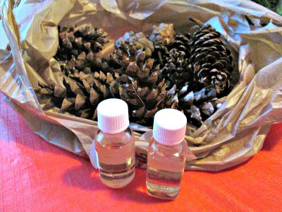 How To Make Your Own Cinnamon Scented Pine Cones 