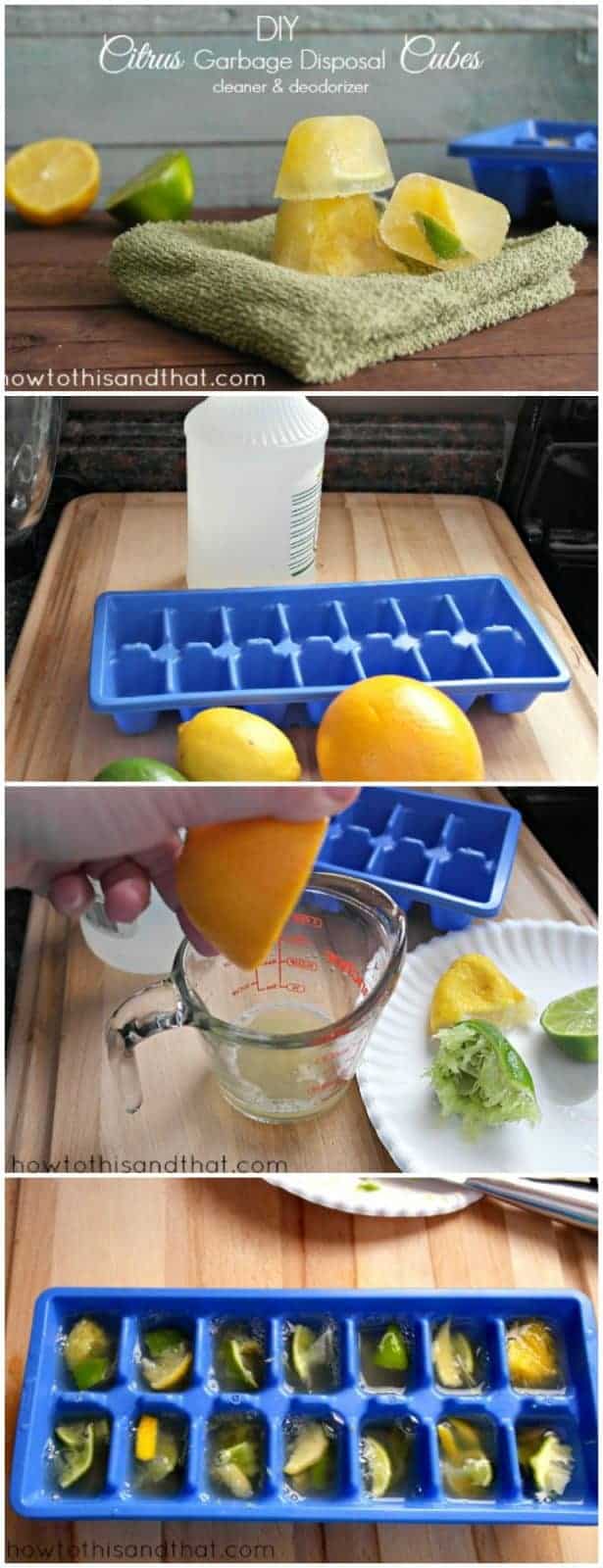 DIY Citrus Garbage Disposal Cleaner & Deodorizer
