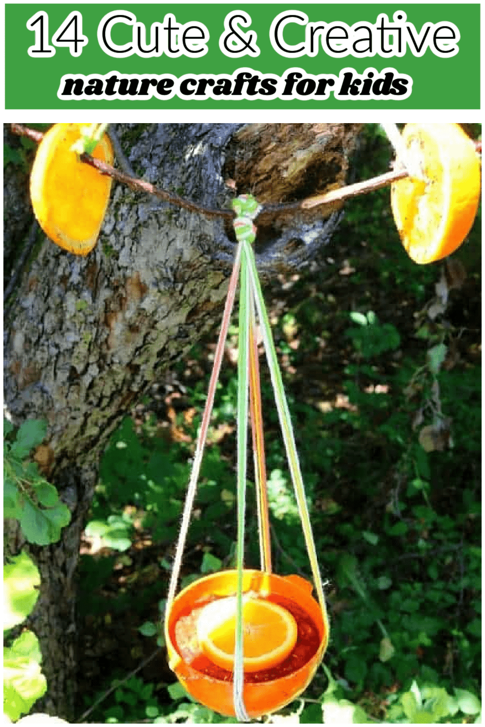 diy oriole bird feeder for kids nature crafts.