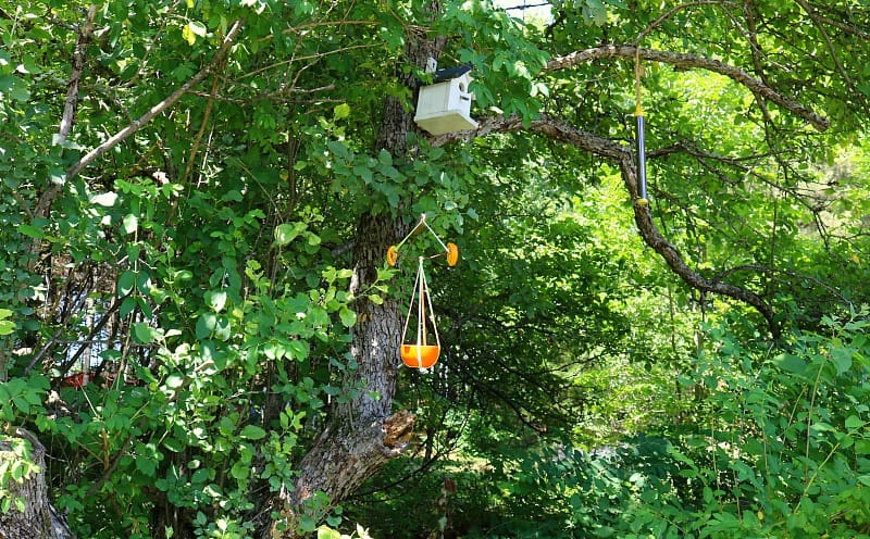 DIY Oriole Bird Feeder