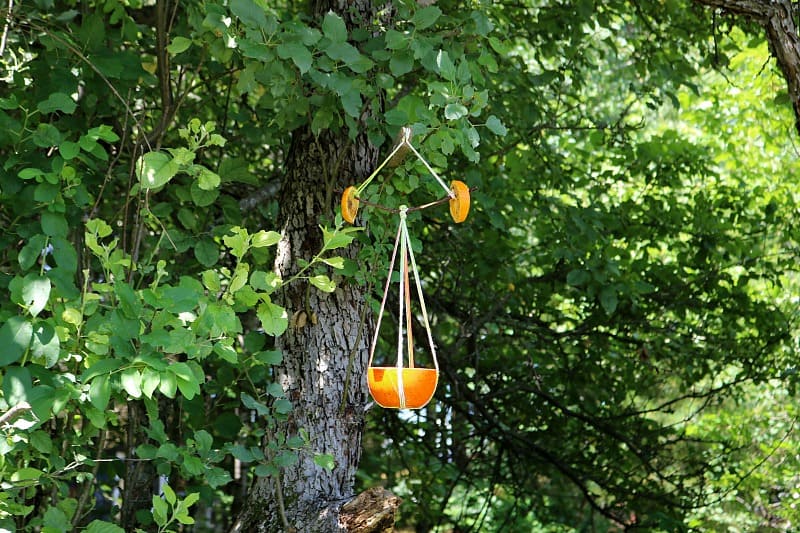 DIY Oriole Bird Feeder