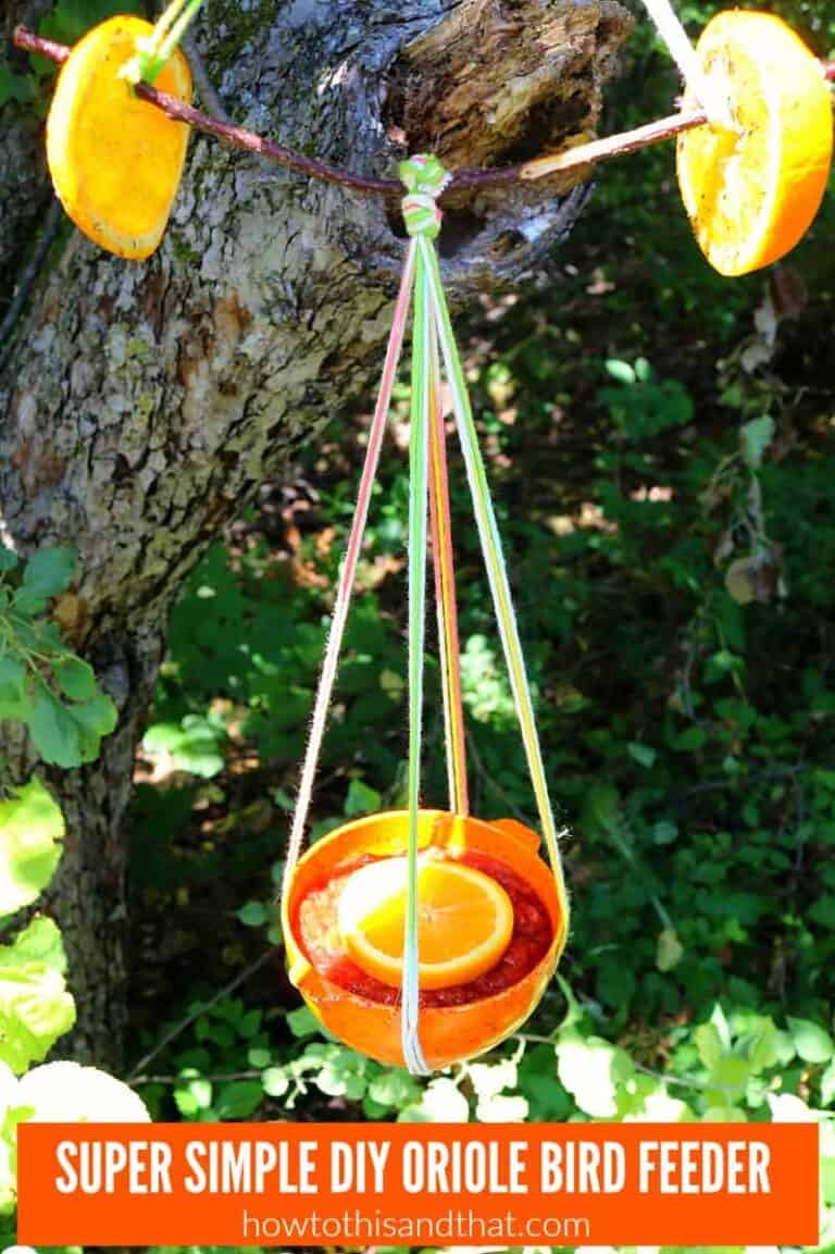 DIY Oriole Bird Feeder- EASY , FUN for Kids, BUDGET FRIENDLY