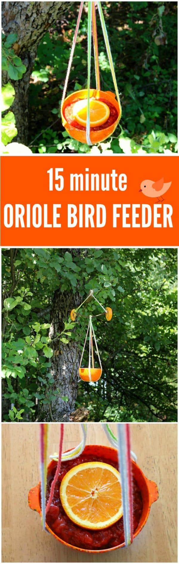 DIY Oriole Bird Feeder- EASY , FUN for Kids, BUDGET FRIENDLY