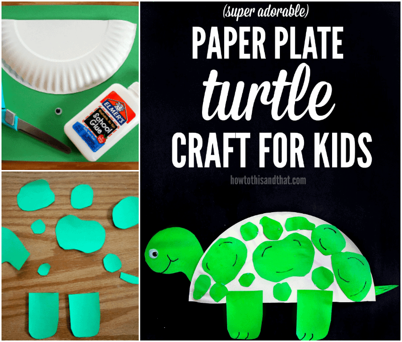 paper plate turtle craft