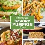Savory Pumpkin Recipes-  Continued