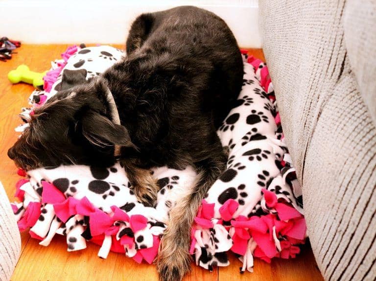 DIY No Sew Dog Bed Tutorial, Easy and Quick, Hand Tie