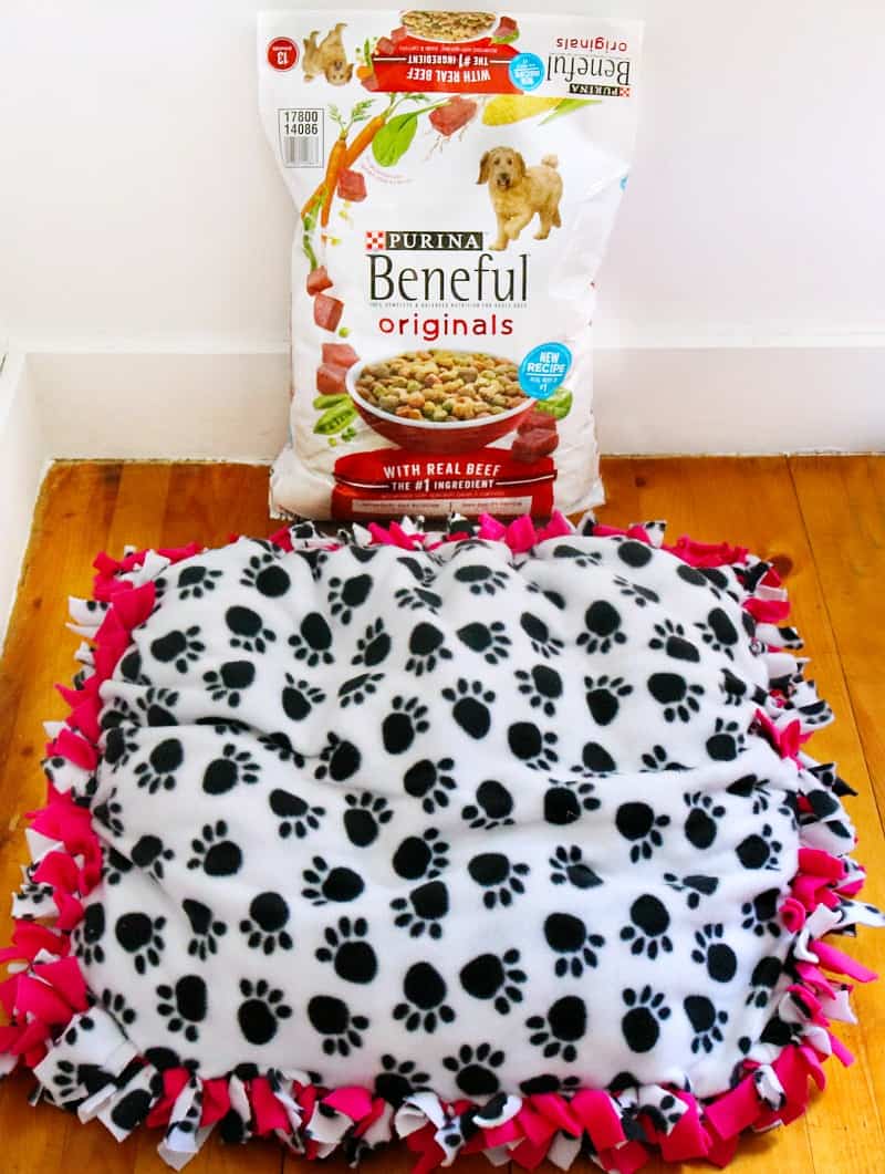 DIY No Sew Dog Bed