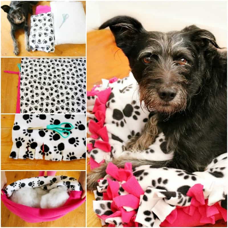 diy no sew dog bed