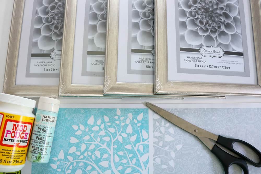 DIY DOLLAR TREE MATTED FRAMES 