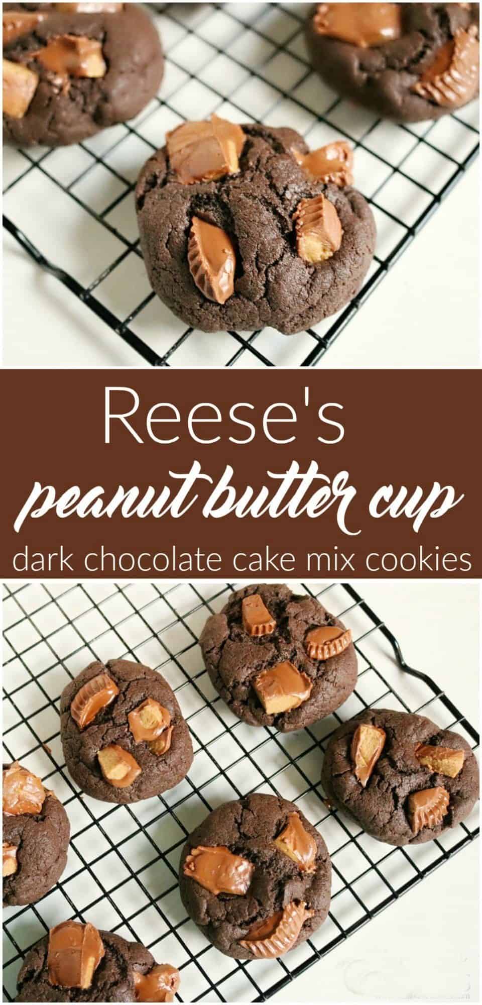 chocolate peanut butter cup cookies
