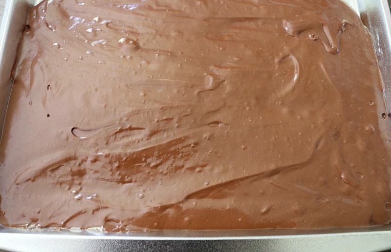 rectangle pan of chocolate. 