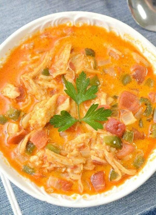 a bowl of chicken enchilada soup with cilantro garnish.