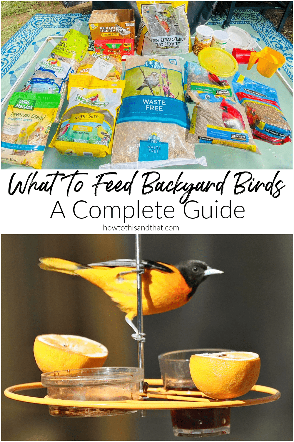 What To Feed Backyard Birds A Complete Guide