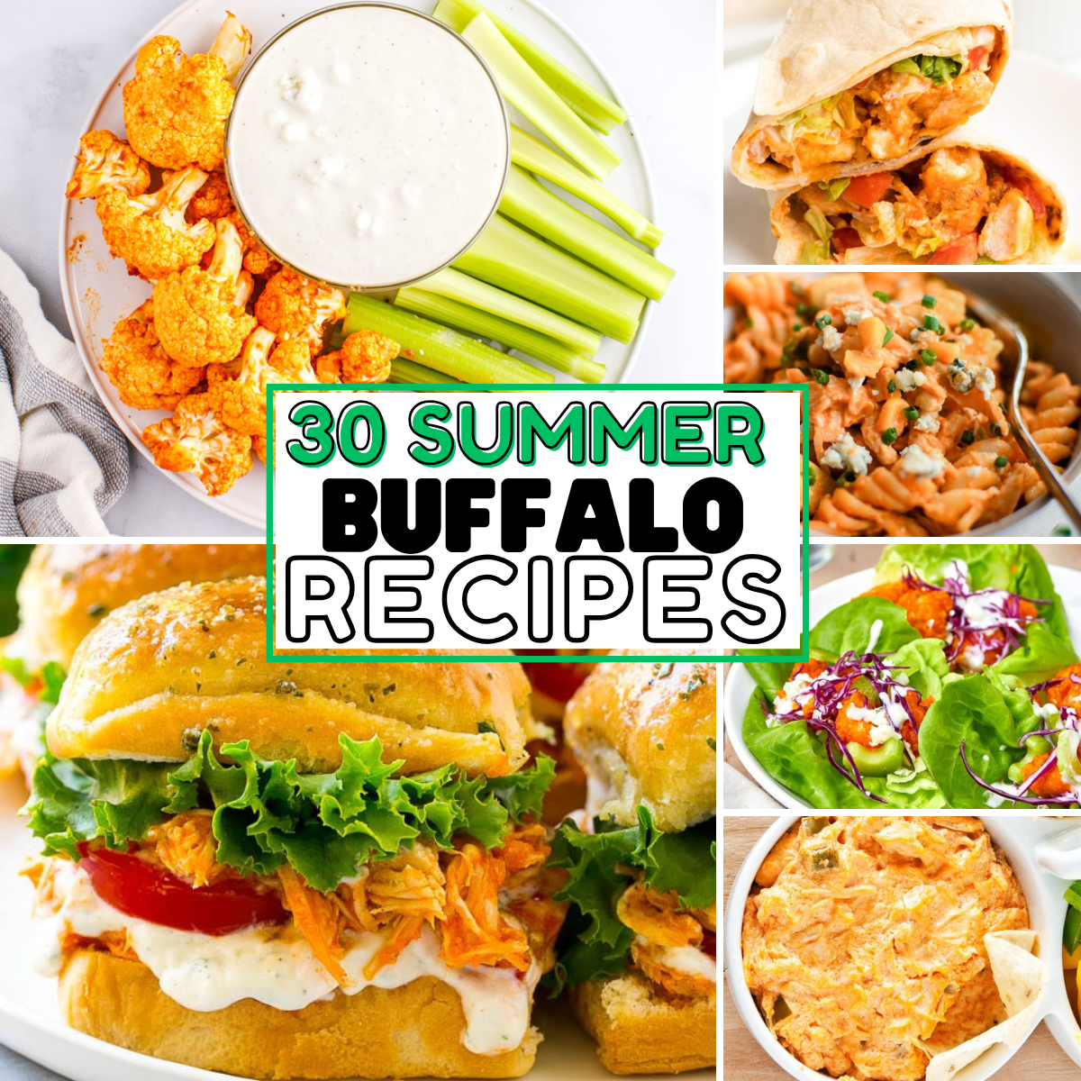 Roundup Image for Summer Buffalo Recipes