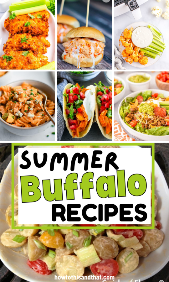 Roundup Image for Summer Buffalo Recipes   
