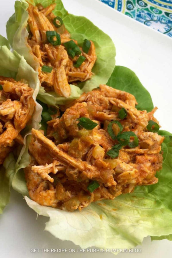 Roundup Image for Summer Buffalo Recipes   

