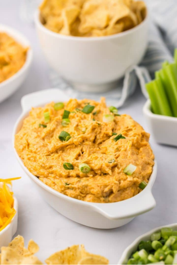 Roundup Image for Summer Buffalo Recipes   
