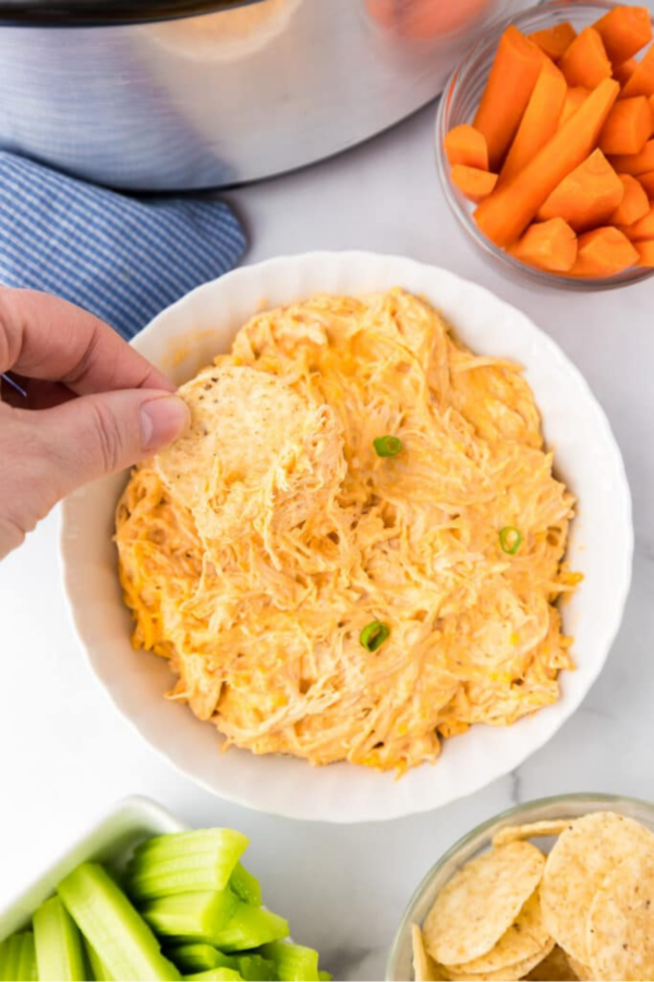 Roundup Image for Summer Buffalo Recipes   
