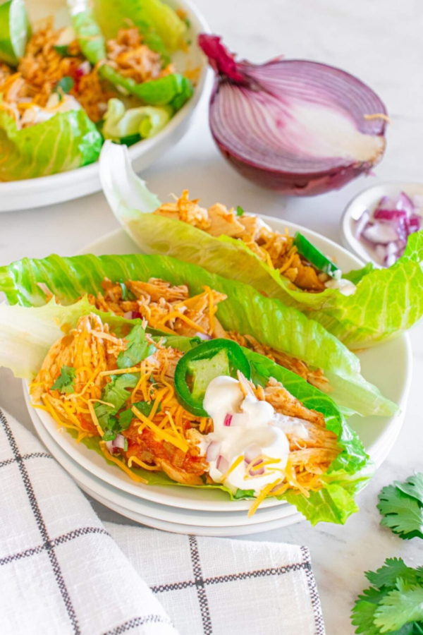 Roundup Image for Keto Picnic Recipes 